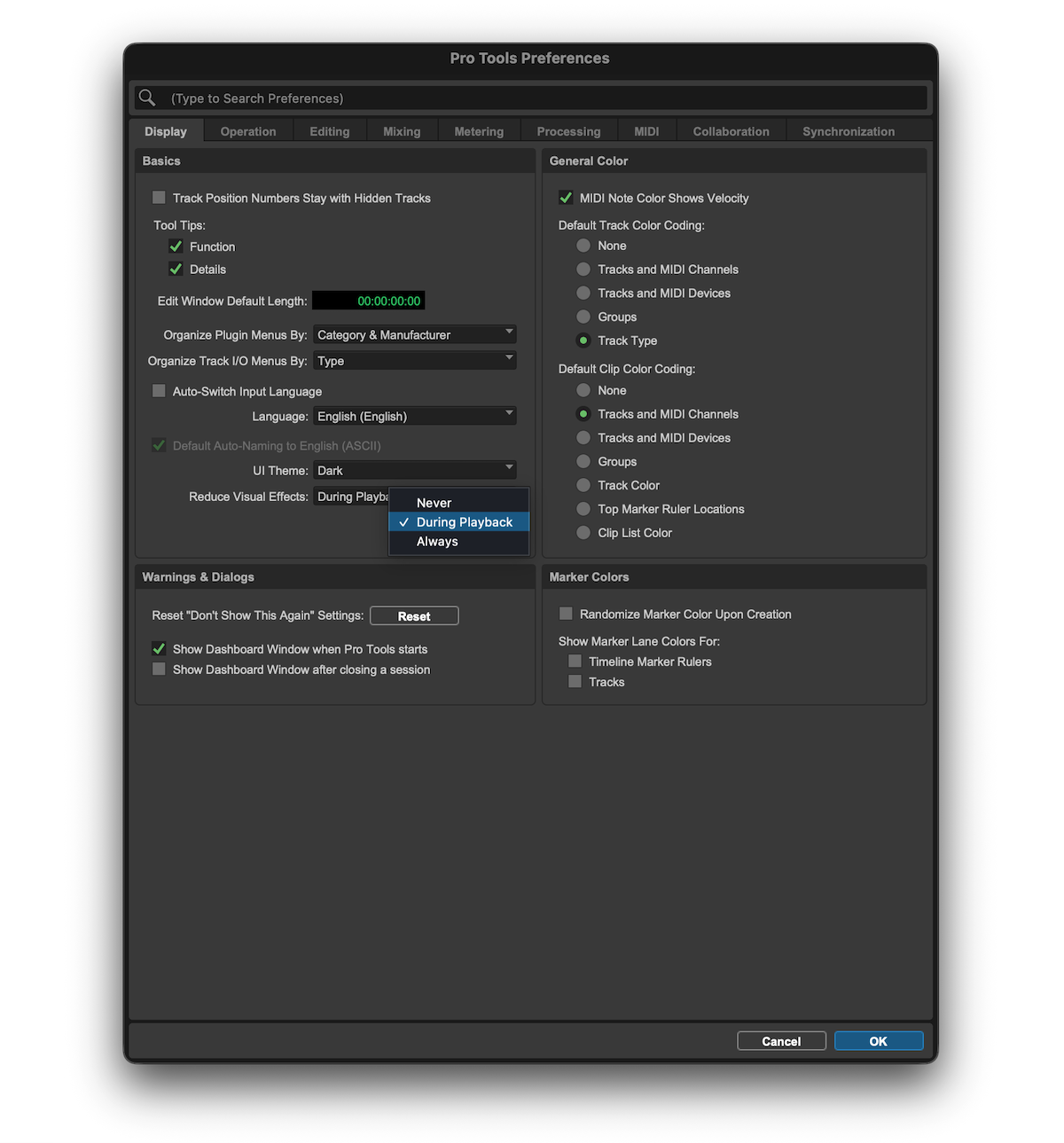 Displayタブの、Reduce Visual Effects（視覚効果の軽減）