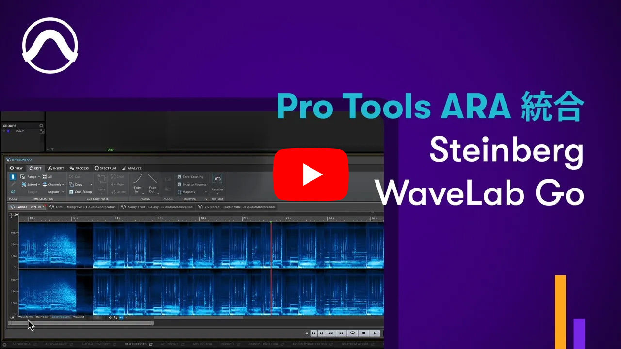 Pro ToolsでのSteinberg WaveLab Go