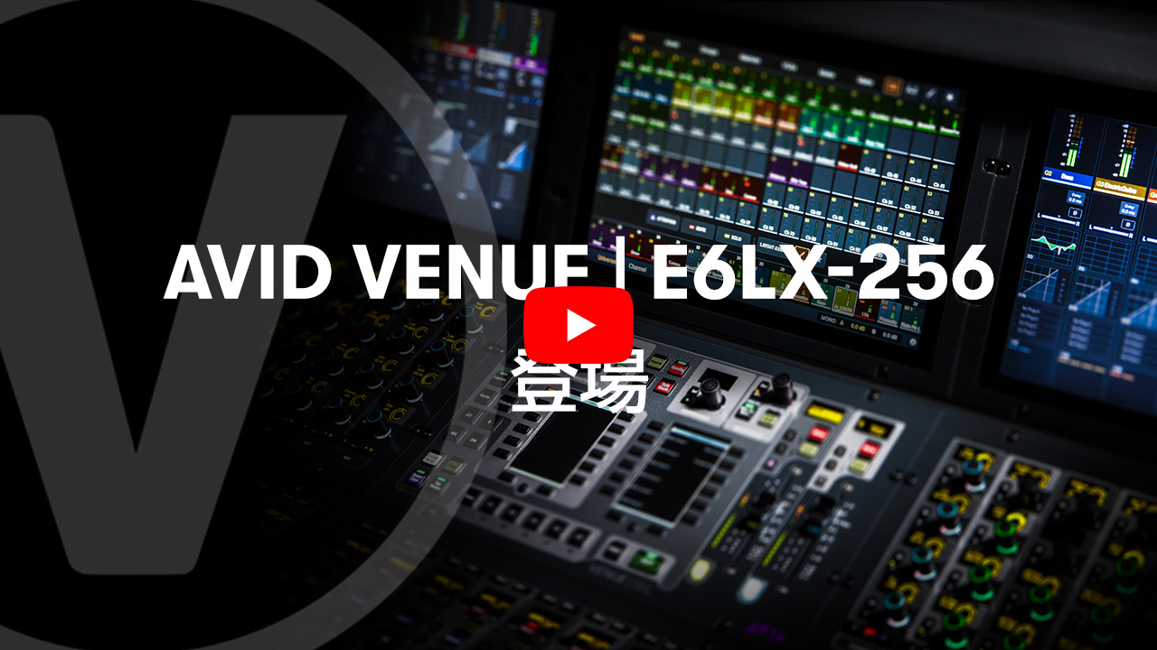 Avid VENUE | E6LX-256ビデオ