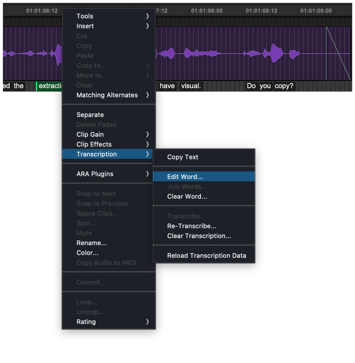 トランスクリプション・サブメニュー